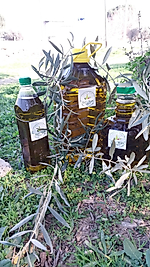 NATUREL SIZMA  ZEYTİNYAĞI 2 LT