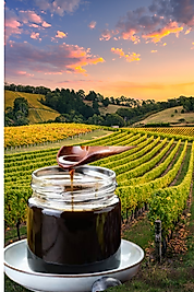 ÜZÜM PEKMEZİ 1 KG