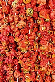 DOLMALIK KURU BİBER 1 DİZİ