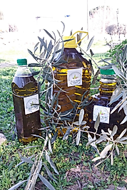 NATUREL SIZMA  ZEYTİNYAĞI 5 LT