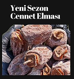 ORGANİK CENNET ELMASI JUMBO BOY 1KG